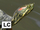 Red-eared slider