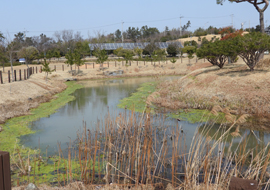 Hanok-Hotel-Youngsanjae