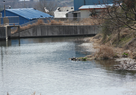 Imsong-Shingi-Reservoir