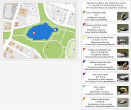 Yeosu-Turtleship-Park