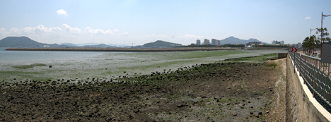 Aphae Site
